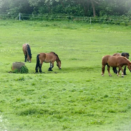 Haus Hohe Geest Hg10 Apartment Cuxhaven