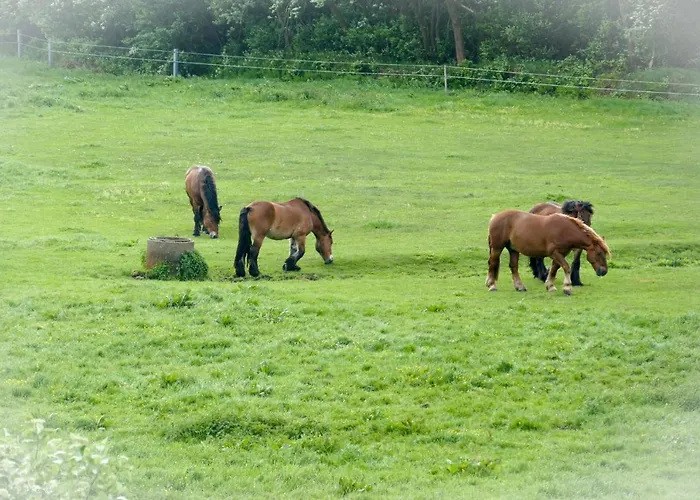 Haus Hohe Geest Hg10 Apartmán Cuxhaven